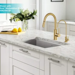 Pull-Down Kitchen Faucet and Water Filter Faucet Combo in Brushed Brass