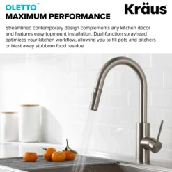 Pull-Down Kitchen Faucet and Water Filter Faucet Combo in Spot Free Stainless Steel