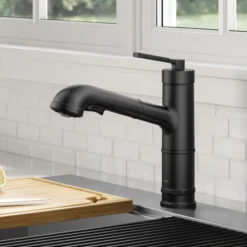 Pull-Out Single Handle Kitchen Faucet in Matte Black
