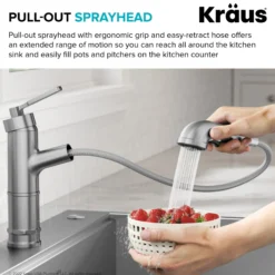Pull-Out Single Handle Kitchen Faucet in Matte Black