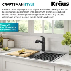Pull-Out Single Handle Kitchen Faucet in Matte Black