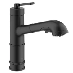Pull-Out Single Handle Kitchen Faucet in Matte Black