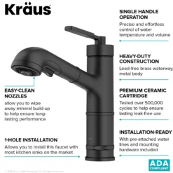 Pull-Out Single Handle Kitchen Faucet in Matte Black