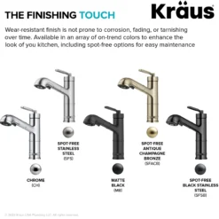 Pull-Out Single Handle Kitchen Faucet in Matte Black