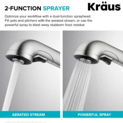 Pull-Out Single Handle Kitchen Faucet in Matte Black