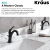 Single Handle Basin Bathroom Faucet with Lift Rod Drain and Deck Plate in Matte Black (2-Pack)