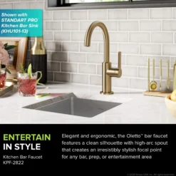 Single Handle Kitchen Bar Faucet in Brushed Brass