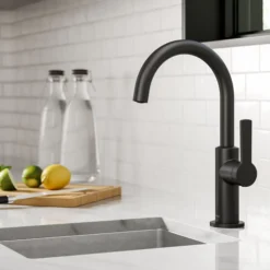 Single Handle Kitchen Bar Faucet in Matte Black
