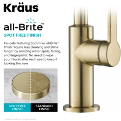 Single Handle Kitchen Bar Faucet in Spot Free Antique Champagne Bronze