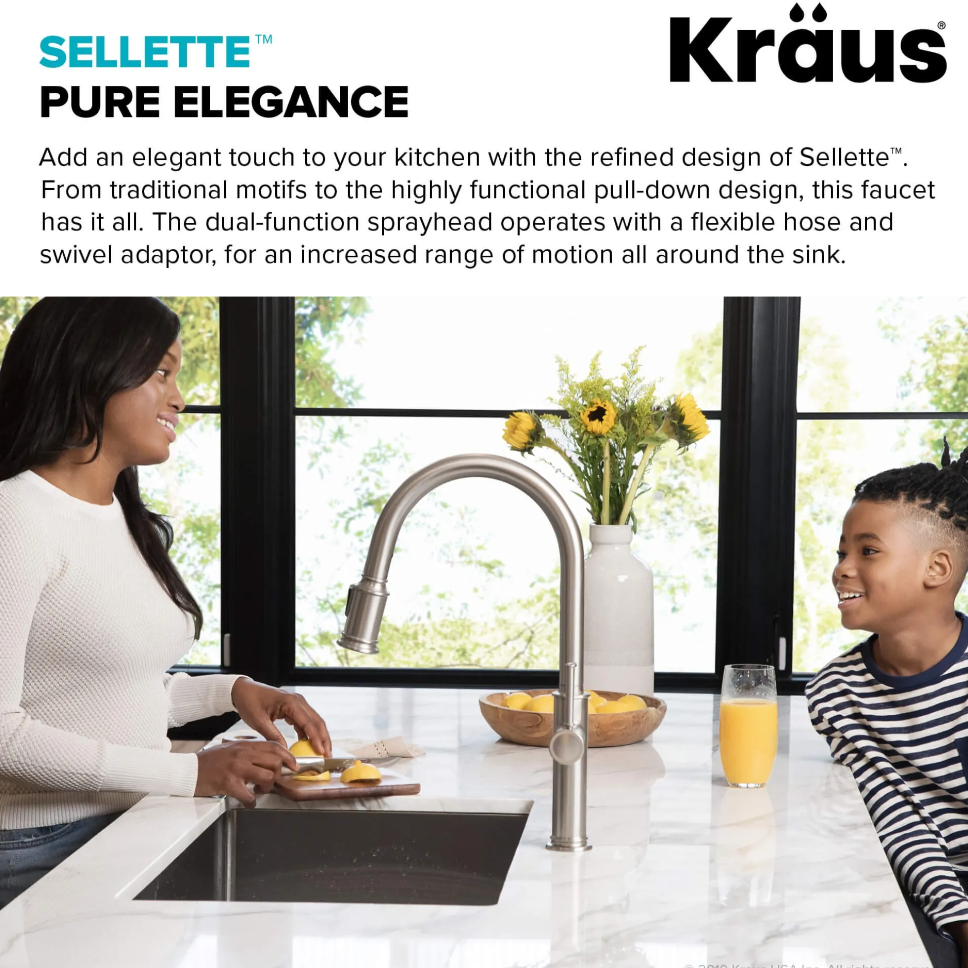 Single Handle Pull Down Kitchen Faucet with Deck Plate and Soap Dispenser in all-Brite Spot Free Stainless Steel