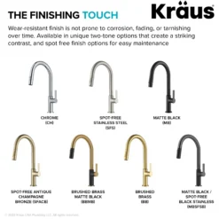 Single Handle Pull Down Kitchen Faucet in Spot-Free Brushed Brass / Matte Black