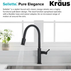 Single Handle Pull-Down Kitchen Faucet in Oil Rubbed Bronze