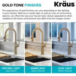 Traditional Industrial Pull-Down Single Handle Kitchen Faucet in Brushed Gold