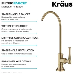 Transitional Bridge Kitchen Faucet and Water Filter Faucet Combo in Brushed Gold
