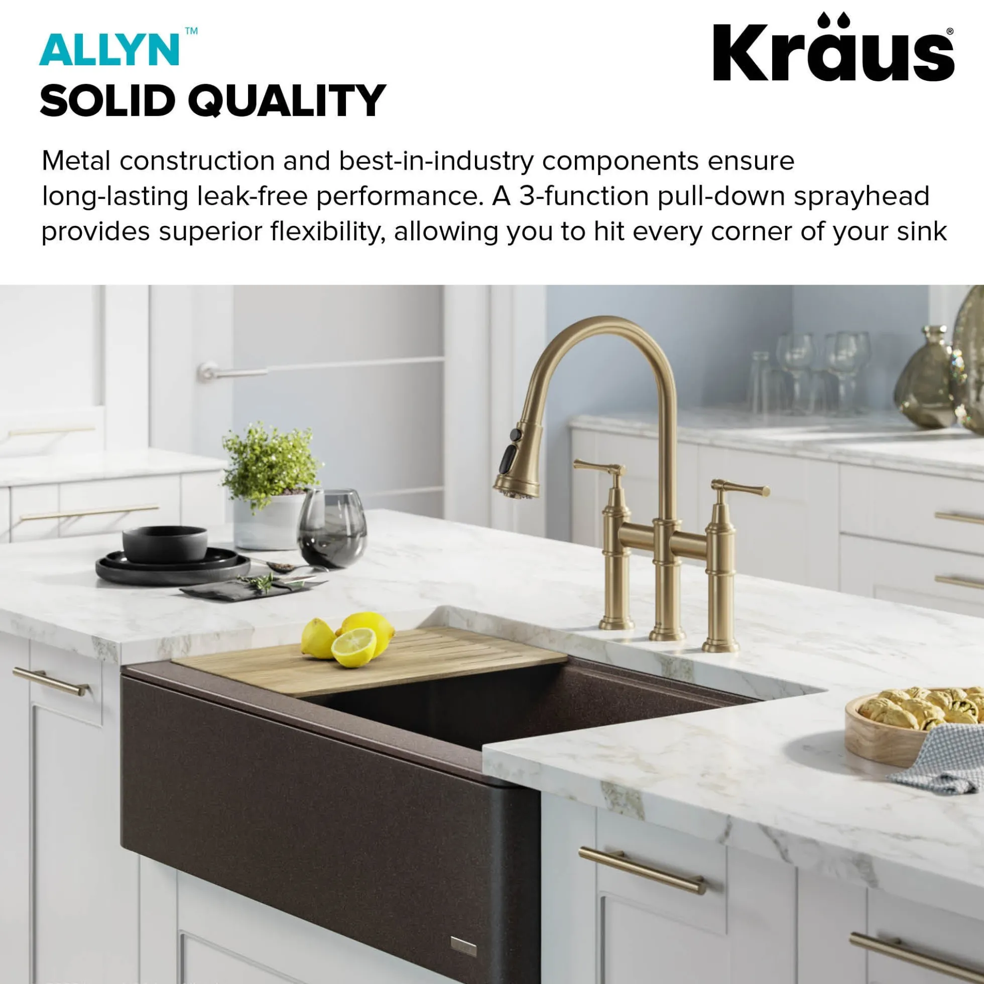 Transitional Bridge Kitchen Faucet and Water Filter Faucet Combo in Brushed Gold