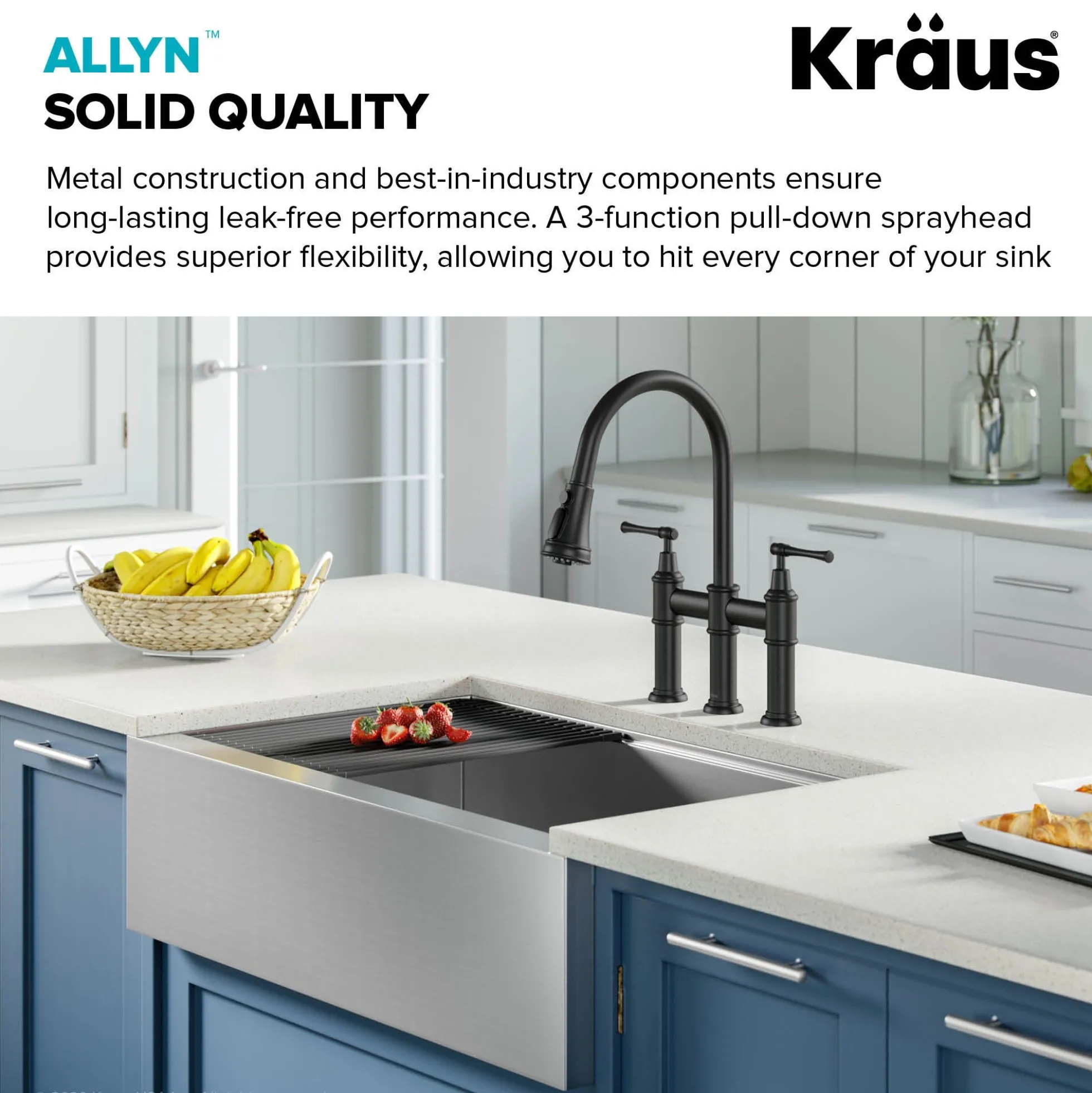 Transitional Bridge Kitchen Faucet and Water Filter Faucet Combo in Matte Black