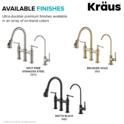 Transitional Bridge Kitchen Faucet and Water Filter Faucet Combo in Matte Black