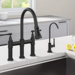 Transitional Bridge Kitchen Faucet and Water Filter Faucet Combo in Matte Black